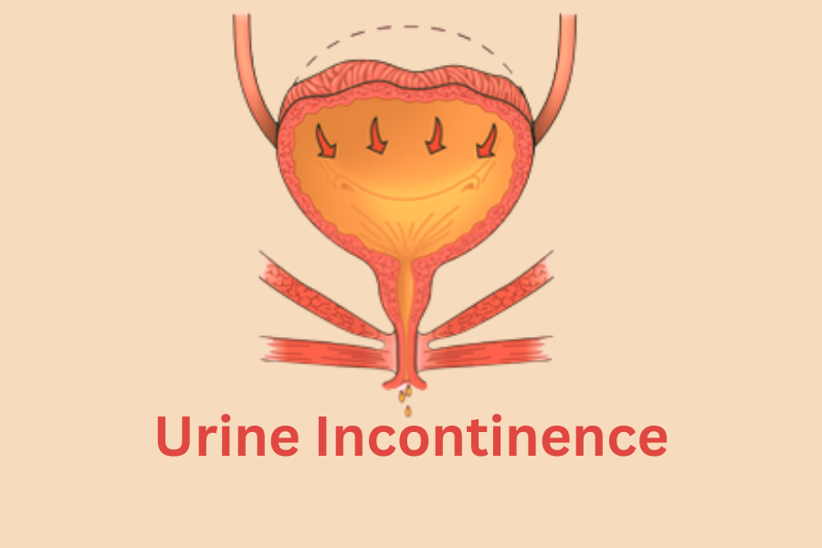 our services dr. sumit sharma