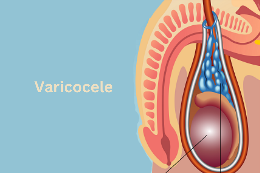 our services dr. sumit sharma