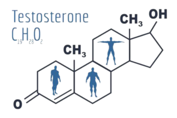 testosterone
