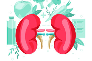 kidney function