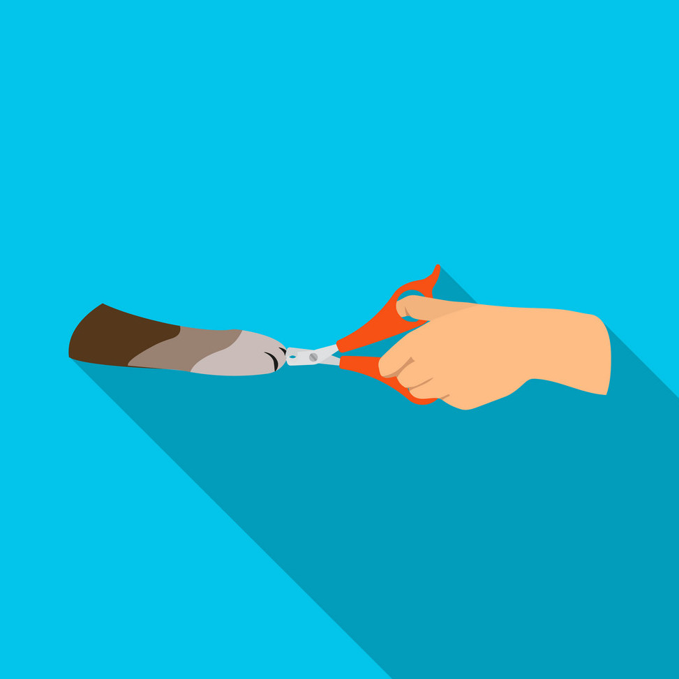 Circumcision: Common Myths Vs. Facts